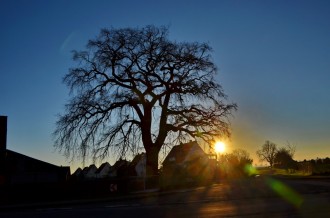 DSC_3678c_Bildgröße ändern